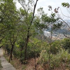 三板溪生态渔村 User Photo