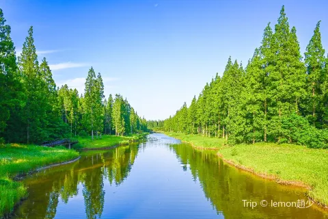 Dongtai Huanghai Forest Park