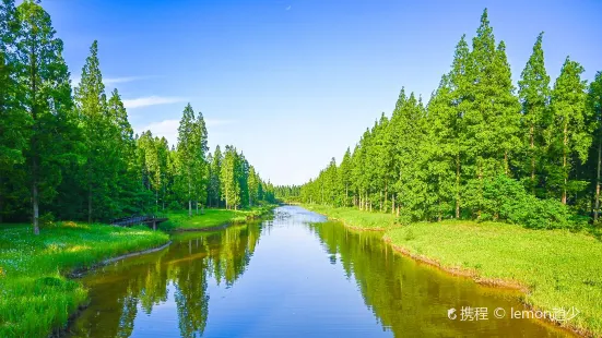 江蘇省東台黄海森林公園
