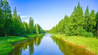 Dongtai Huanghai Forest Park