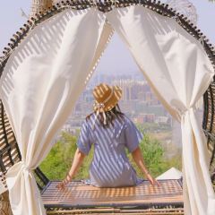 Jintang Banshan Guishu Restaurant User Photo