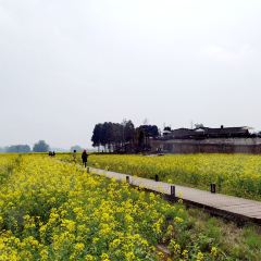 溪地阿兰若度假村落(大邑安仁古镇店)·意大利餐厅 User Photo