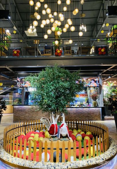 花花姨碌鹅生活馆