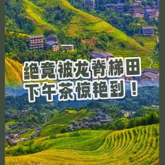 龙胜陌野 晨晞餐厅 User Photo