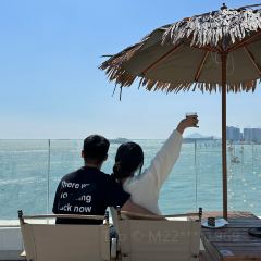 岛语plus User Photo