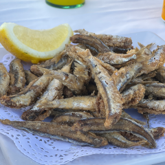 Club Garraf User Photo