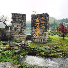 宋家河农庄 User Photo