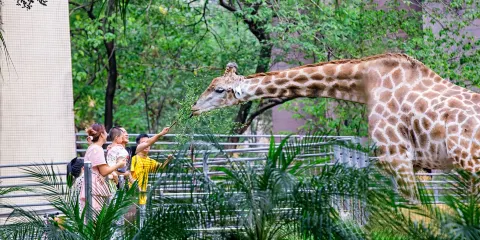 重慶動物園