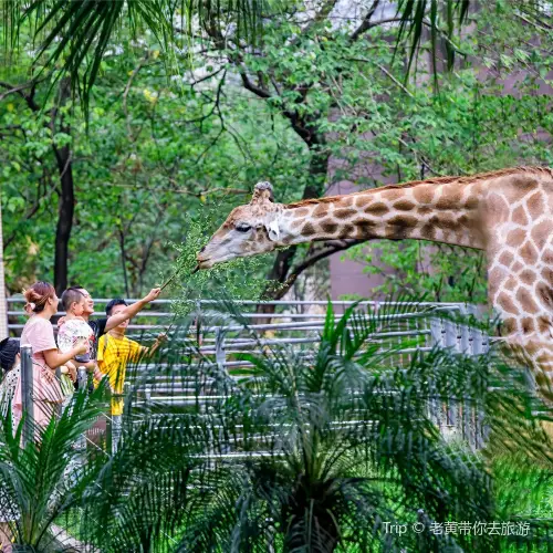重慶動物園