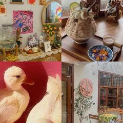 本家韩国烤肉(吟龙湾店) User Photo