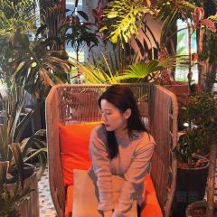 Kitchen侑湖景西餐(高新店) User Photo