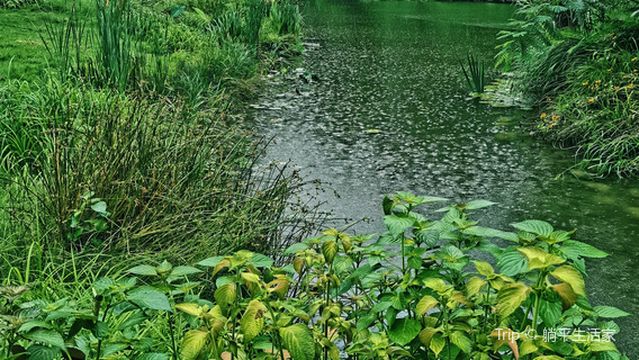 mi die xiang nong zhuang