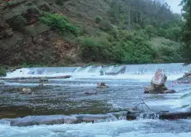 苗王峽生態園