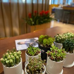 长春钜城莎玛汇酒店·早餐厅 User Photo