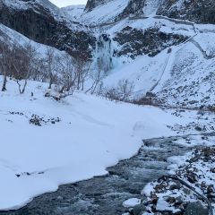 长白山万达喜来登度假酒店·大堂吧 User Photo