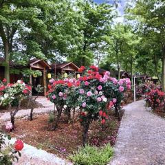 Wanhuagu Rose Manor User Photo