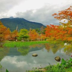 Pine Tree Lake User Photo