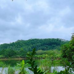 TU ZAO REN GU ảnh của người dùng