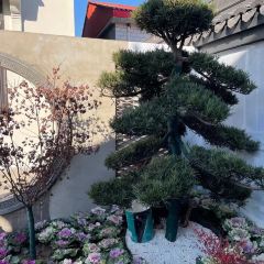 GUI JIANG YU CUN User Photo