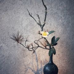 無一堂·茶空間 User Photo