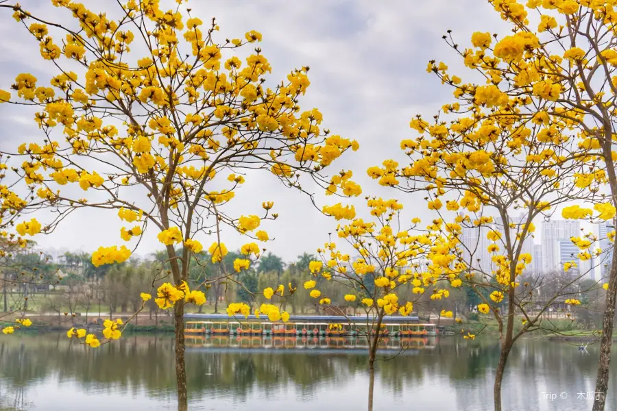 Jiangnan Park