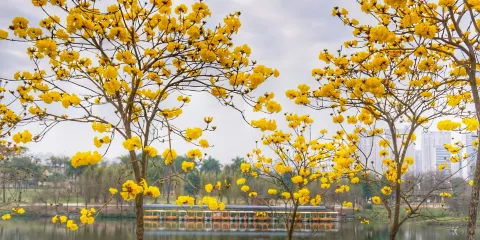 南寧市江南公園