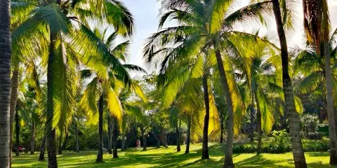 白鷺公園