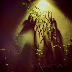 蔓延咖啡 User Photo