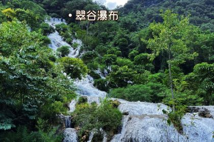 漳江豆花烤鱼饭庄