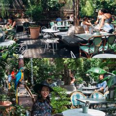 The Potting Shed at The Grounds User Photo