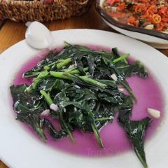 永新土菜馆(五井路店) User Photo