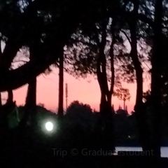 霖·燒肉丼（金鷹店）張用戶圖片