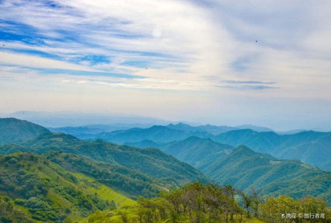Gupo Grassland