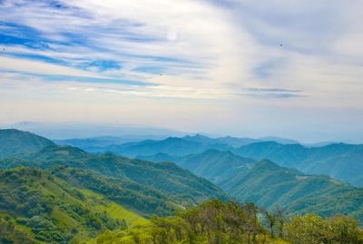 Gupo Grassland