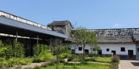 白樓
