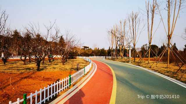 Nanshan Peony Cultural Park