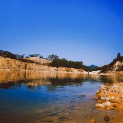 翠園農莊張用戶圖片