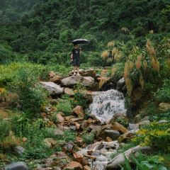 融創由心谷·知味由心餐廳張用戶圖片