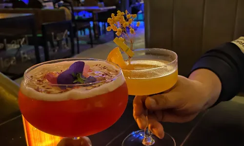 ICELAND LOUNGE BAR