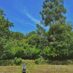 归来居 User Photo