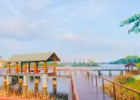 王家河公園