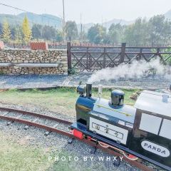 后街土菜馆 User Photo