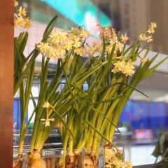 飞虹鱼馆(南湖店) User Photo