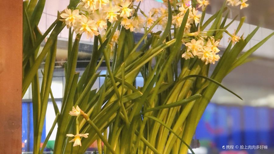 飞虹鱼馆(南湖店)