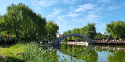 青龍河森林公園