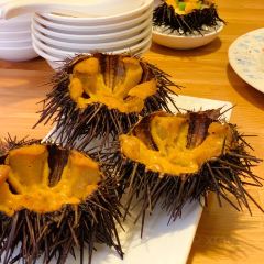 海胆小馆(春柳店) User Photo