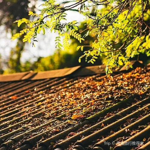 lan tian jiu jian fang qian mu he tang