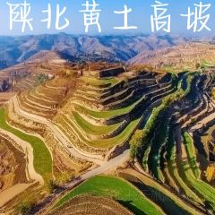 黄土高坡(晋绥东路店) User Photo