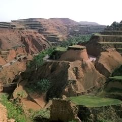 黄土高坡(晋绥东路店) User Photo