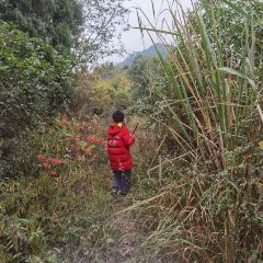 云崖兔酒楼 User Photo